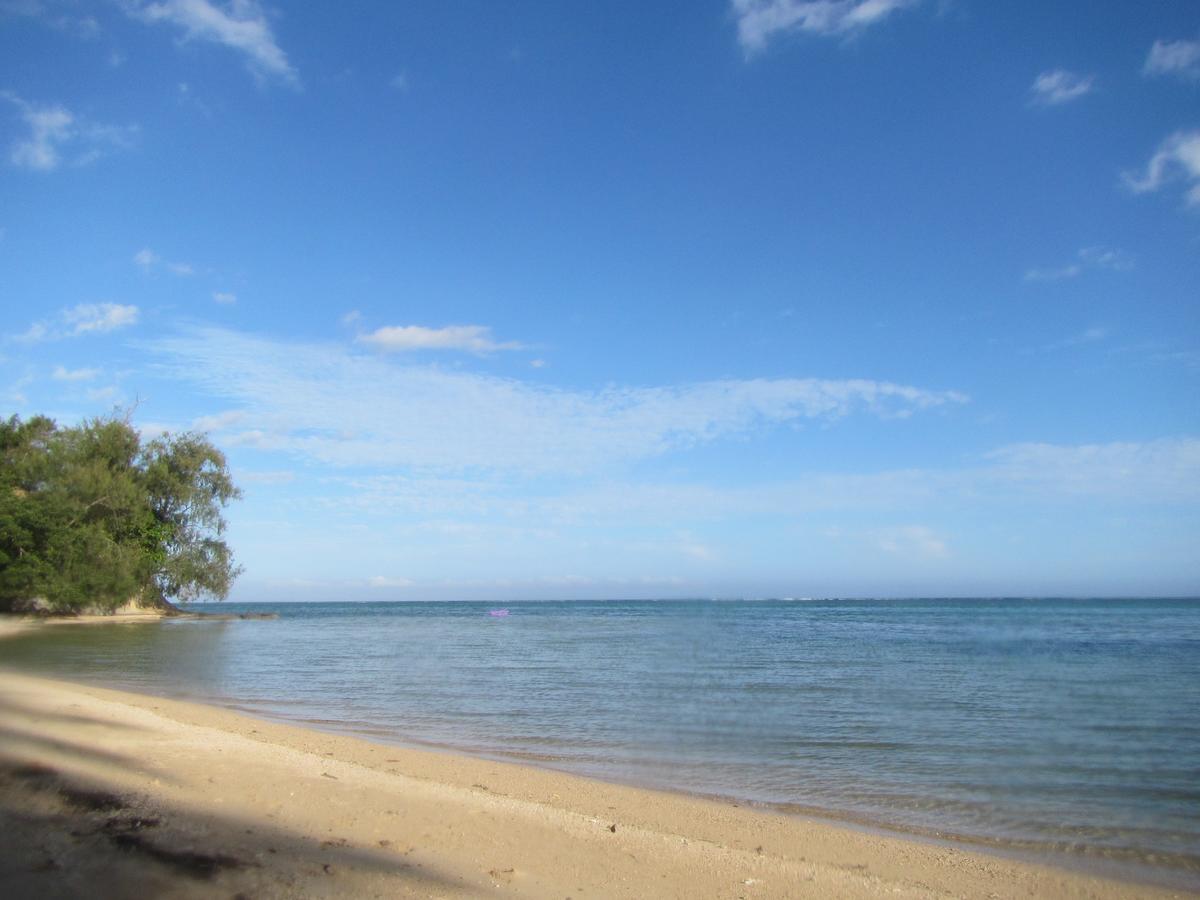 Namolevu Beach Bures Accommodation Coral Coast Buitenkant foto